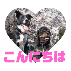 [LINEスタンプ] メリアとアキレウスVer.2 
