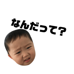 [LINEスタンプ] むすこムスコ 