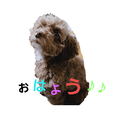 [LINEスタンプ] 樹代美STAMPS