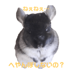 [LINEスタンプ] Macくんのいる生活…