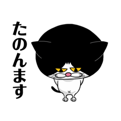 [LINEスタンプ] 気まぐれネコのブサ夫