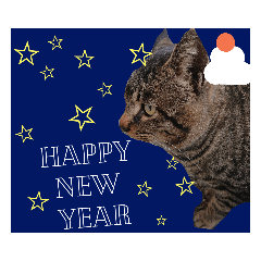 [LINEスタンプ] ねこースタンプ10
