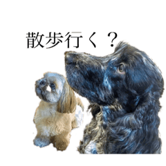 [LINEスタンプ] モモとナナ(挨拶ちょっとお仕事)