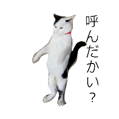 [LINEスタンプ] そらちゃんスタンプ(日常編)