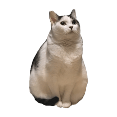 [LINEスタンプ] らんらん。 