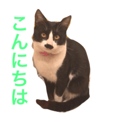[LINEスタンプ] 我が家の万次郎くん 