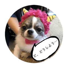 [LINEスタンプ] まとばふぁみ 