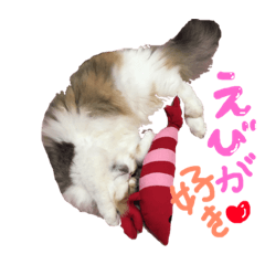 [LINEスタンプ] カルーアの日常 fetchpriority=high