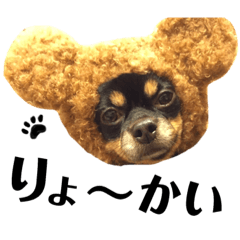 [LINEスタンプ] チワワさま