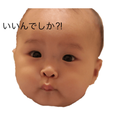 [LINEスタンプ] キーシーはん fetchpriority=high