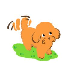 [LINEスタンプ] トイプードルすふれ