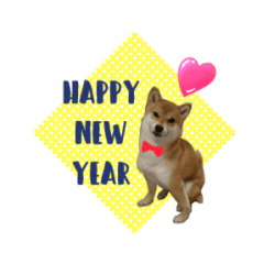 [LINEスタンプ] 柴犬 winnter YUZU