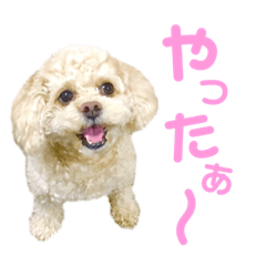 [LINEスタンプ] ラフのひとこと