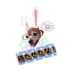 [LINEスタンプ] ミニピン チャコ 2