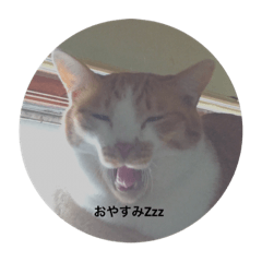 [LINEスタンプ] つにゃみちみ 