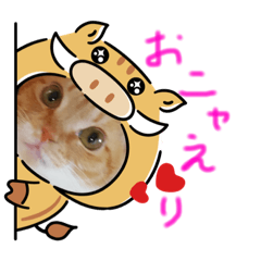 [LINEスタンプ] ココの日常物語 fetchpriority=high