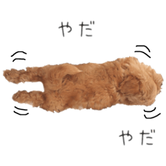 [LINEスタンプ] マルプーマロンのスタンプ 2 