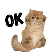 [LINEスタンプ] きな粉餅部屋 3