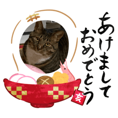 [LINEスタンプ] お正月用スタンプです