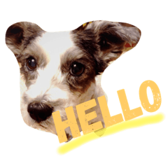 [LINEスタンプ] ミミ子の日常スタンプ 