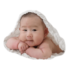 [LINEスタンプ] はっちゃんぱむたん