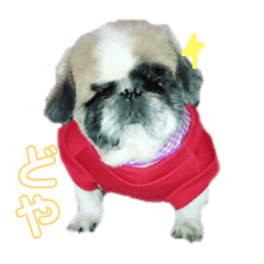 [LINEスタンプ] 3匹のいっぬ fetchpriority=high
