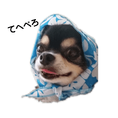 [LINEスタンプ] まろまろジョイくん 
