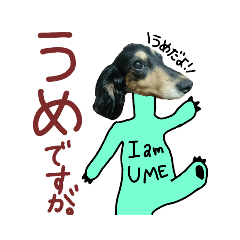 [LINEスタンプ] まいにちうめさん