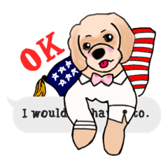 [LINEスタンプ] みんなのアメコカ♪（アメリカンコッカー） 
