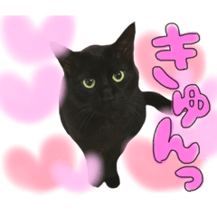 [LINEスタンプ] クロねこ スタンプ❤︎ 
