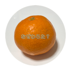 [LINEスタンプ] みかんから一言。