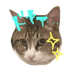 [LINEスタンプ] 俺、ちゅる 