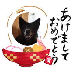 [LINEスタンプ] 石垣島犬モクとレイア2