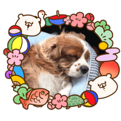 [LINEスタンプ] ハッピー あけまめ！ 
