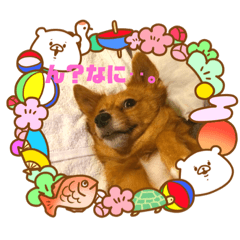[LINEスタンプ] 高尾ビンス＆メロ 