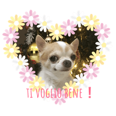 [LINEスタンプ] イタリア語❤︎Pico e criceto❤︎ 