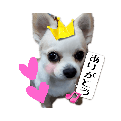 [LINEスタンプ] ミルクの毎日スタンプ