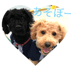 [LINEスタンプ] チロショコ 