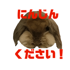 [LINEスタンプ] モカちんです。 