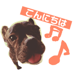 [LINEスタンプ] フレンチブルのナナとキャバリアのマイ 