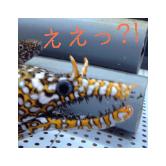 [LINEスタンプ] Aquarium2018 