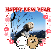 [LINEスタンプ] シーズー犬ココ 年末年始