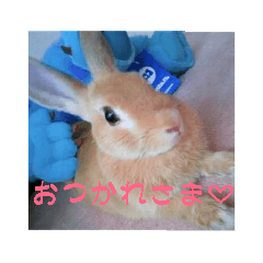 [LINEスタンプ] ウサギ♡ミントちゃん fetchpriority=high