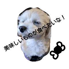 [LINEスタンプ] おねだりマルプー
