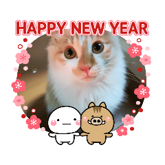 [LINEスタンプ] もふもふランちゃん 
