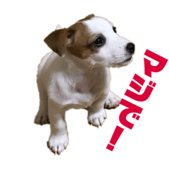 [LINEスタンプ] ジャックのそらスタンプ！ 