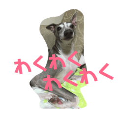 [LINEスタンプ] りーさんのいちにち 