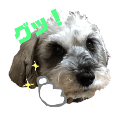 [LINEスタンプ] ピースふる♡ 
