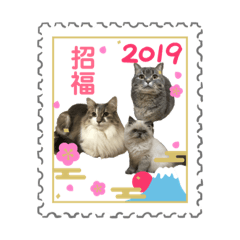 [LINEスタンプ] もちもちファミリーのお正月