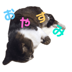 ☆さっちゃん先輩☆